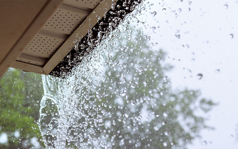 Ensure Proper Water Management Ensure Proper Water Management