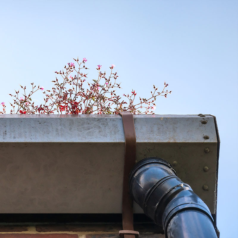 Why Regular Gutter Cleaning is Essential Why Regular Gutter Cleaning is Essential